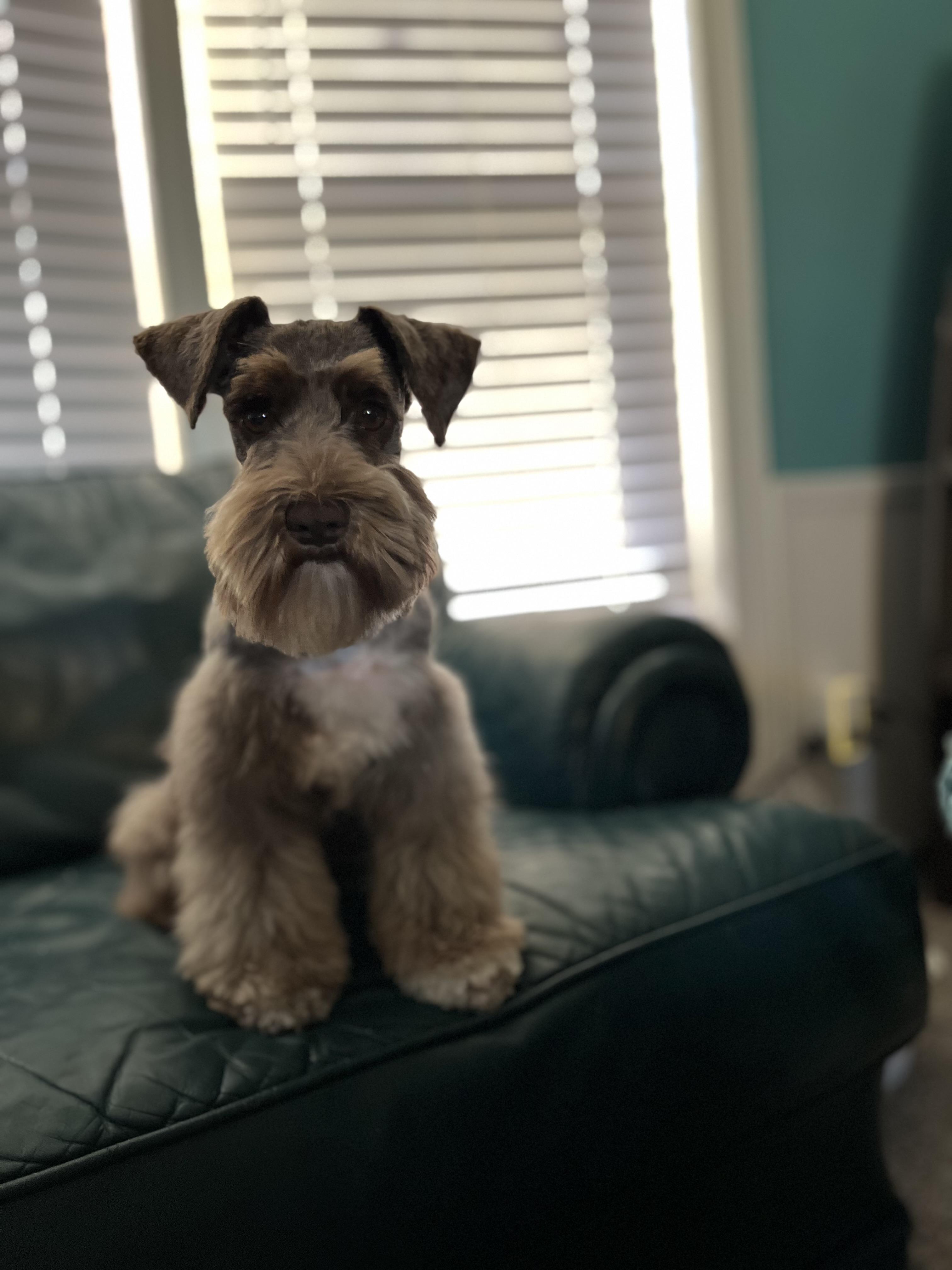 Unnamed