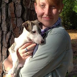 Whippets from Copestone Whippets