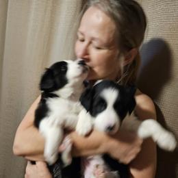 Border Collie All Grown Up from Deanna Kuhl