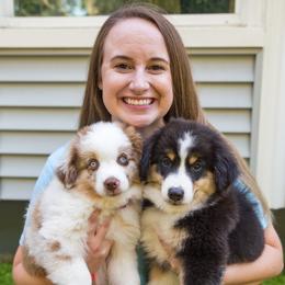 Miniature American Shepherd Puppies from Fuzzbottom Miniature American Shepherd