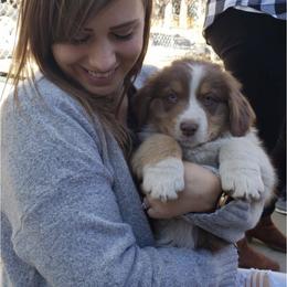 Australian Shepherd Puppies from Dollface Aussies