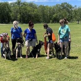 German Shepherds from The Zeus N Luna 2 Pay it Forward Foundation