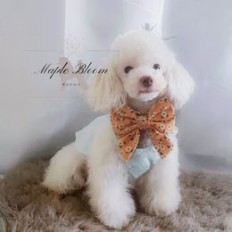 Dolly - Poodle
