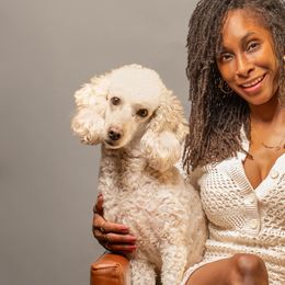 Poodles from Cityscape Moyen Poodles