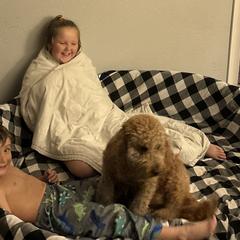 Goldendoodles from Hannah’s Goldendoodles