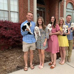 Sheepadoodle Puppies from Narrow Path Puppies