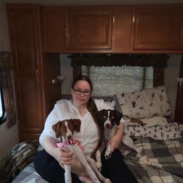Brittany and Dachshund Puppies from Township Line Dachshunds & Brittanys