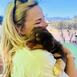 Tuck - Red tri male Miniature Australian Shepherd puppy in Tucson, Arizona from TTTNT Aussies