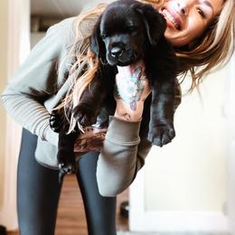 Labrador Retriever Puppies from Landon J Farms Labrador Retrievers