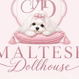 Maltese from Maltese Dollhouse
