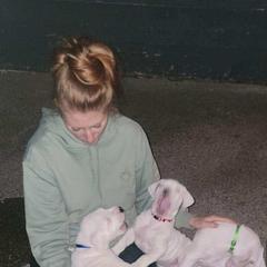 Dogo Argentino Puppies from K&B Southern Oregon Argentino Dogos