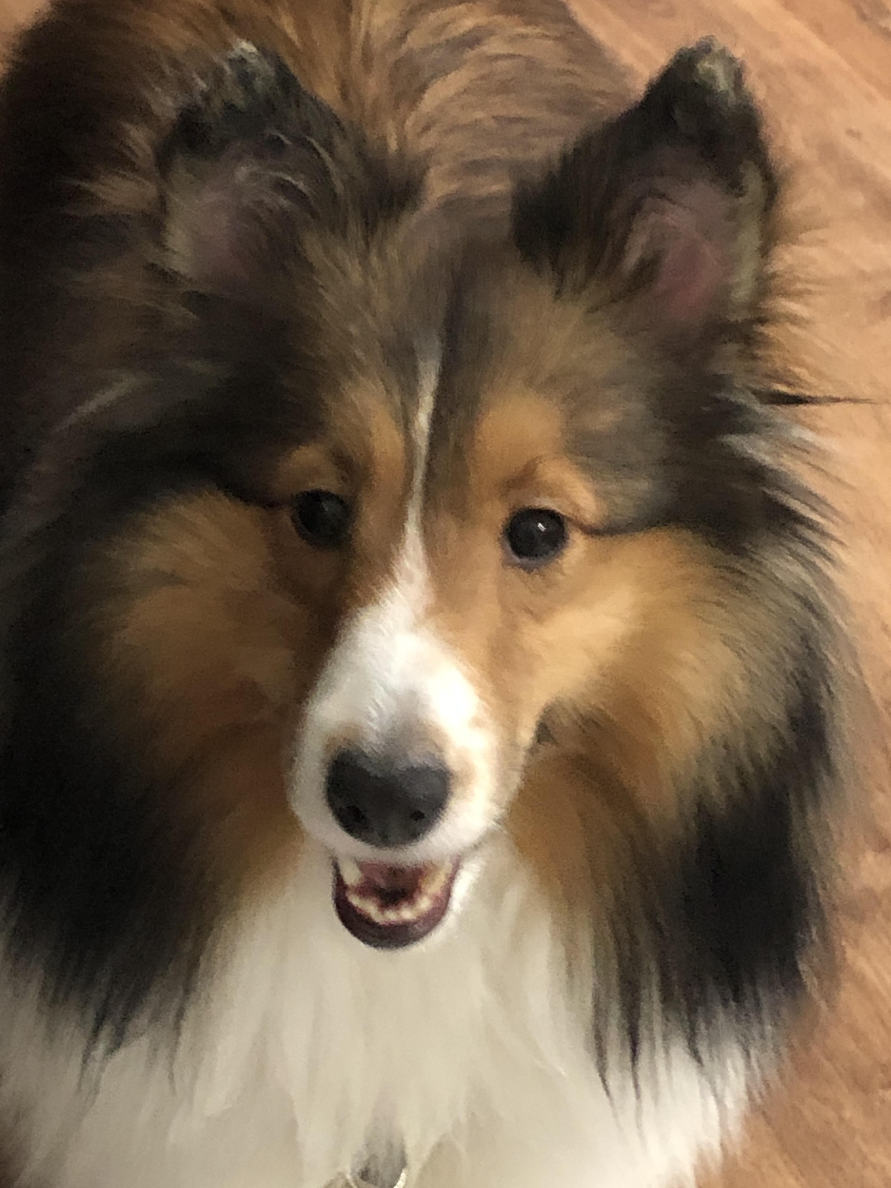 Lucy