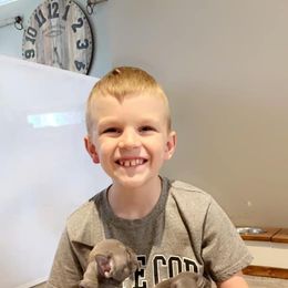 French Bulldog Puppies from Bleu Steele French Bulldogs