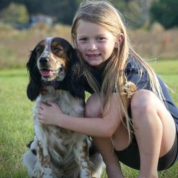 Dakota - English Springer Spaniel