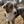 Unnamed