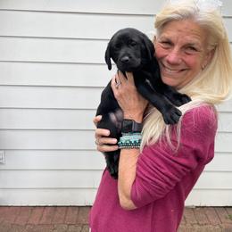 Boy 3 - Black Labrador Retriever puppy in Houston, Texas from Bahrking Heights Labradors