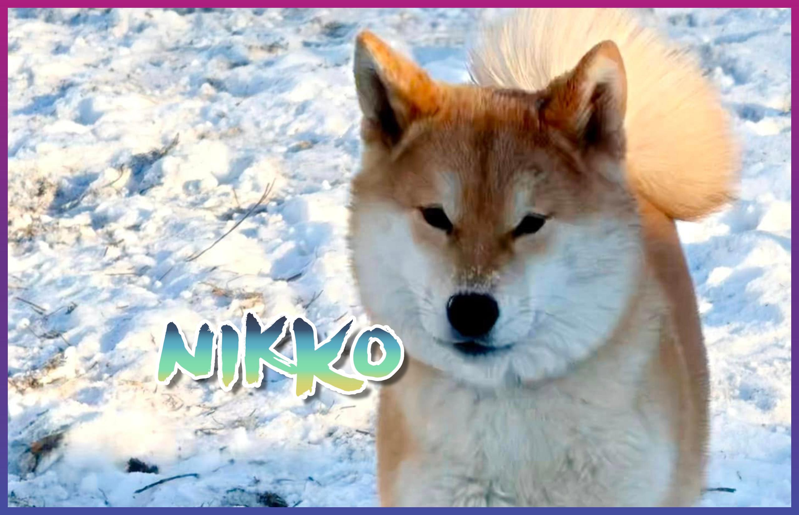 Nikko