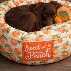 Peach - Boykin Spaniel