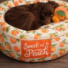Peach - Boykin Spaniel