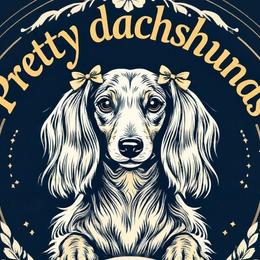 Dachshunds from Pretty Dachshunds 661