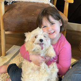 Maltipoo Puppies from Grassy Meadow Pups