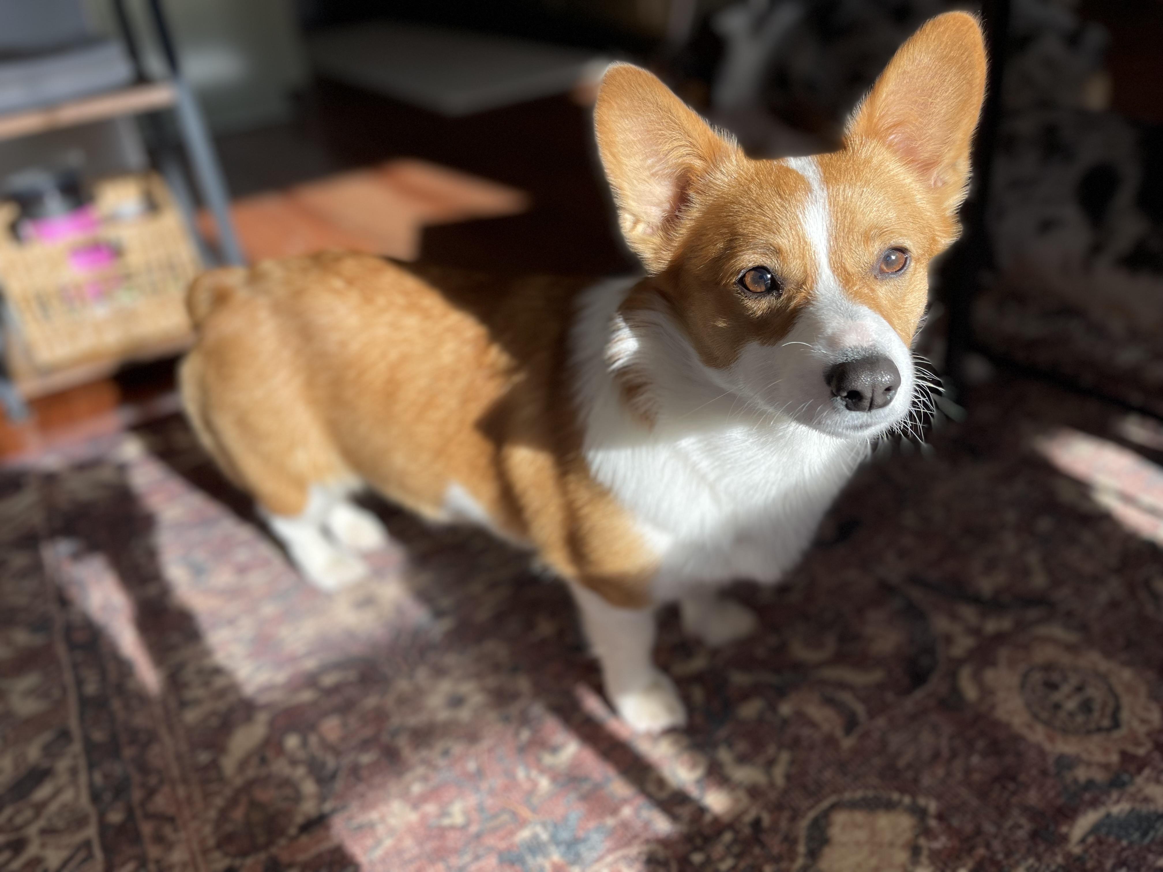 Winnie