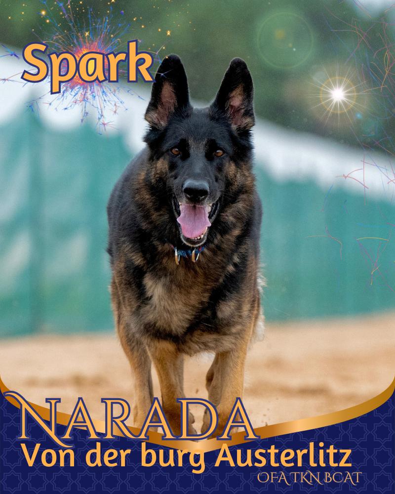Spark