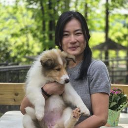 Little Abigail - Sable and white Collie puppy in Winder, Georgia from Dove Creek Collies