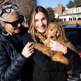 Goldendoodle Puppies from Denver Doodles