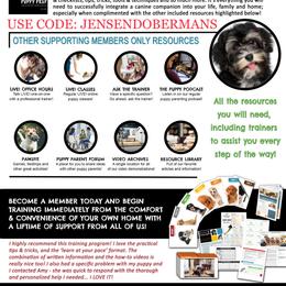 Doberman Pinscher Puppies from Jensen Dobermans