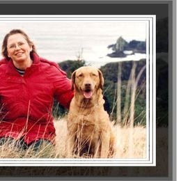 Chesapeake Bay Retrievers from Pond Hollow Chesapeakes