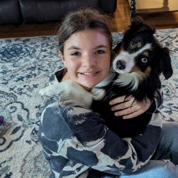 Freyja  (Veronica) - Black tri Miniature Australian Shepherd puppy in Hartselle, Alabama from ELSRi’s Crimson Cross Mini Aussies