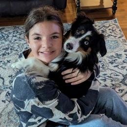 Freyja  (Veronica) - Black tri Miniature Australian Shepherd puppy in Hartselle, Alabama from ELSRi’s Crimson Cross Mini Aussies
