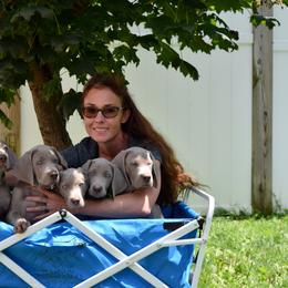 Weimaraner Puppies from Platinum Weimaraners