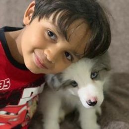 Border Collie Puppies from Cascade Sun Kennels