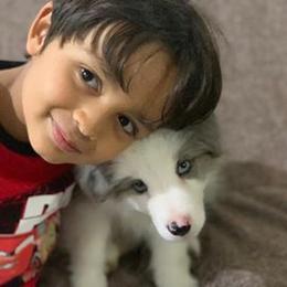 Border Collie Puppies from Cascade Sun Kennels