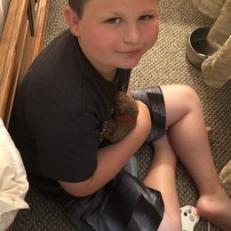 Goldendoodle Puppies from Cooley Doodles