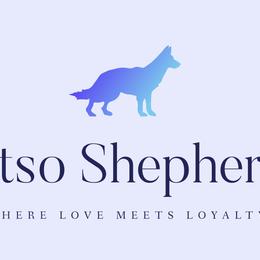 German Shepherds from Mitso Shepherds