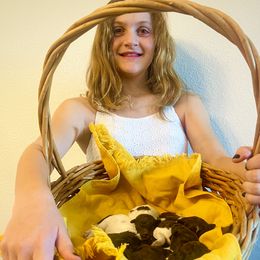 Lagotto Romagnolo Puppies from Anna’s Lagottos