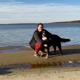 Bernese Mountain Dog and Pembroke Welsh Corgi All Grown Up from Concerto Corgis