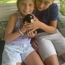 Havanese Puppies from Nanas Havanese