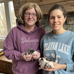 French Bulldog Puppies from Delavan Sisters French Bulldogs