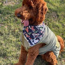 Goldendoodle All Grown Up from Tx Red Doodles