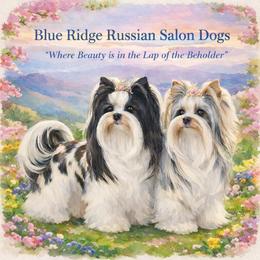 Russian Salon Dog puppies from Kilmaren Cavaliers and Born in the USA Biewer Terriers