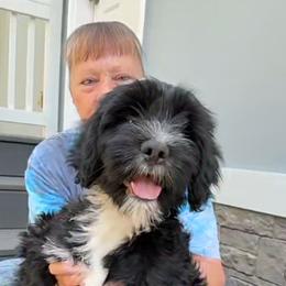 Jagger - Black and white male Tibetan Terrier puppy in Dorena, Oregon from Angel Tibetans Of Oregon