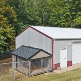 Russell Terrier All Grown Up from Terrier Town of Tennessee