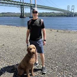 Goldendoodle All Grown Up from Dawnie’s Doodles