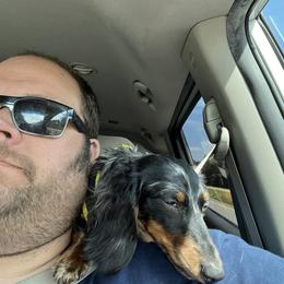 Dachshund All Grown Up from Lanier’s Little Weenies