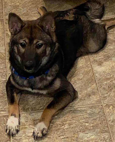 Unnamed