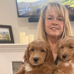 Goldendoodles from Skye Blue Goldendoodles